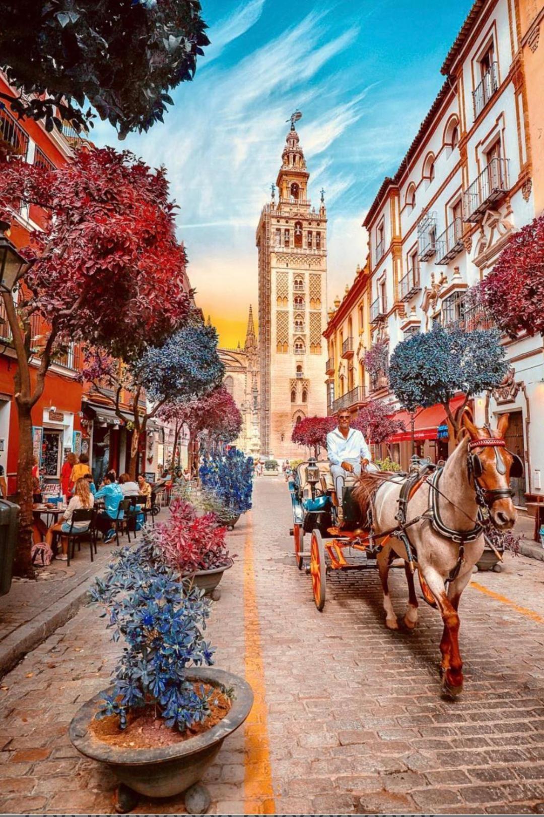 Ole Triana Leilighet Sevilla Eksteriør bilde